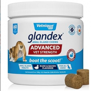 Home bohemian rhapsody attire